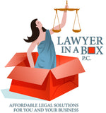 Lawyer in a Box(TM) Choosing the Best Business Type for You